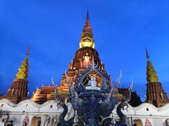 -纳兰傣雀傣味餐厅