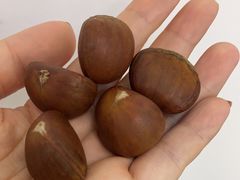 -阿男野栗王(金门路店)