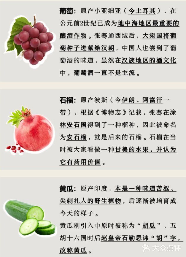 张骞出使西域，带回了哪些种子？🌿🌱 