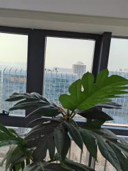 -HEYAN荷妍专业脱毛连锁机构