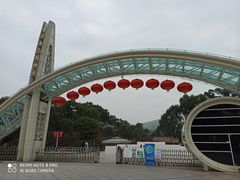 -南山植物园