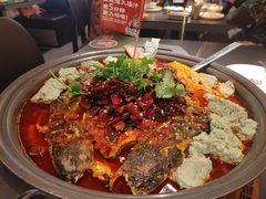 -师烤·豆花烤鱼(广州荔湾扬韬广场店)