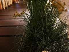 -梅间堂茶馆(绿地缤纷城店)