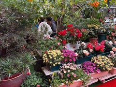 -山水茶艺馆·点心粤菜·30年老字号