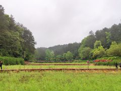 -韶山毛泽东同志故居