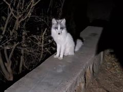 -鬼笑石后山停车场