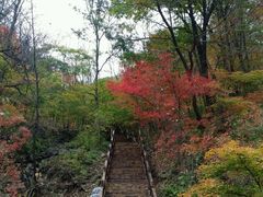 -天女山森林公园