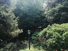 -紫金山天文台
