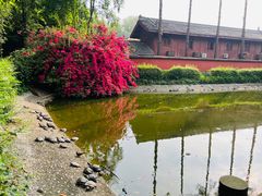 -成都市文殊院