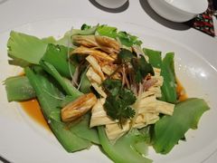 河源腐竹撈起水東芥-大鸽饭(体育西路店)