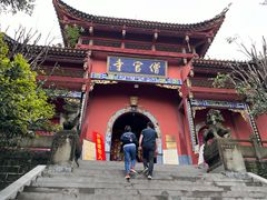 -铁山坪森林公园