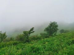 -妙峰山风景名胜区