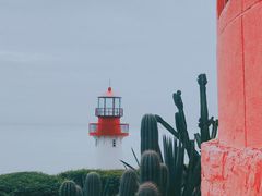 -漳州滨海火山岛自然生态风景区