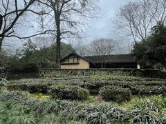 -法云安缦酒店
