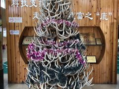 -北京鹿世界主题园