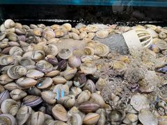 -苏格里岛自助烤肉海鲜火锅(成都金牛万达店)