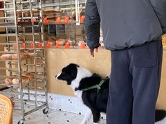 -老梦面包CHEZMOREL(麦子店)