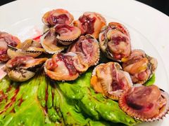 醉毛蚶-高佳庄·舟山海鲜(海景旗舰店)