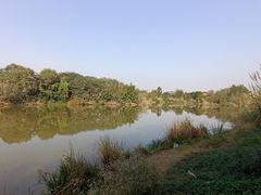 -白鹭湾湿地公园