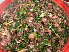 -东吴霸王兔(松青路店)
