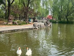 -洛阳市隋唐城遗址植物园