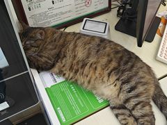 -瑞鹏宠物医院·爱宠堂(环西分院)