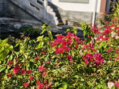 -惠州西湖风景名胜区-丰渚园