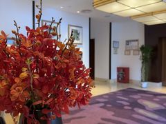 -三亚亚龙湾瑞吉酒店·铭轩中餐厅Mingxuan·海南菜·粤菜