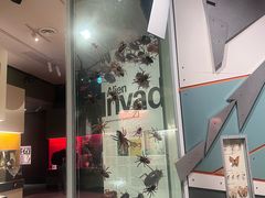 -墨尔本博物馆(Melbourne Museum)