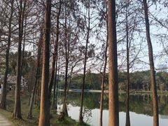 -东莞植物园