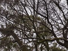 -京都御所