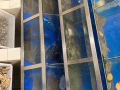 -宾朋海鲜特色美食餐厅·纯手工鲅鱼水饺(兴海路店)