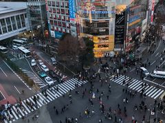 -涩谷区