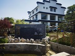 -树山生态村