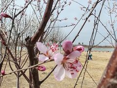 -水西公园