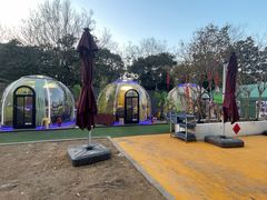 -百味地锅鸡(二店·财校分店)