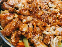 -黄记煌三汁焖锅(顺义华联店)