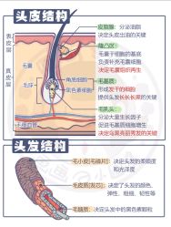 -Bollins波林丝•专研护发中心