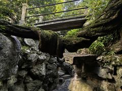 -绮园景区