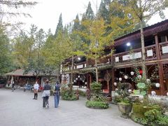 -青城甲(青城山店)