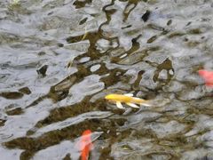 -水磨沟公园