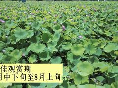 -嘉北郊野公园
