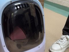 -动物缘宠物医院·骨科·猫科(西二环店)