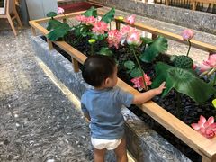 -南宫温泉水世界