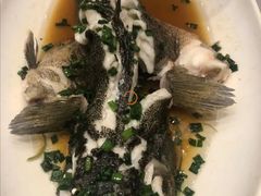 笋壳鱼-海景壹号大酒店(滨湖店)