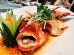 青斑鱼-安蒂娅.悦景轩中餐厅(西乡店)