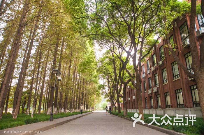 华东师范大学(中山北路校区)图片 第5张