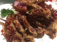 -解家河南菜(金水路店)