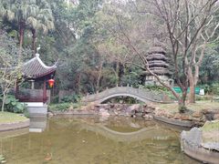 -深圳国际园林花卉博览园