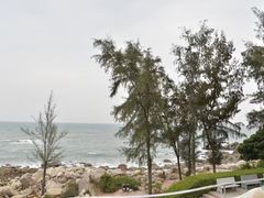 -广东惠东海龟国家级自然保护区